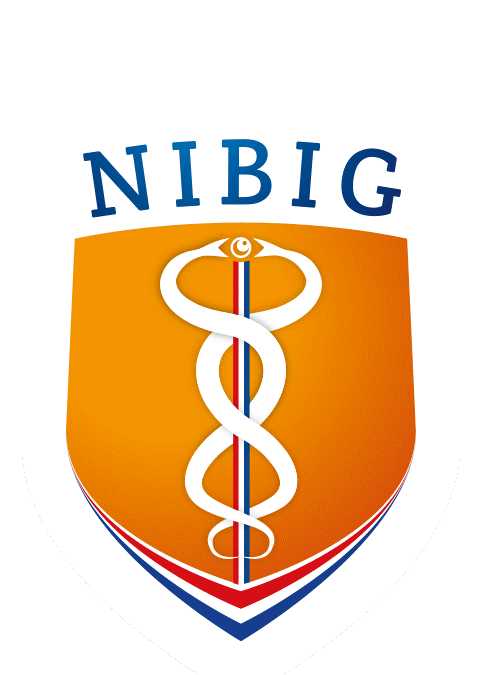 nibig logo